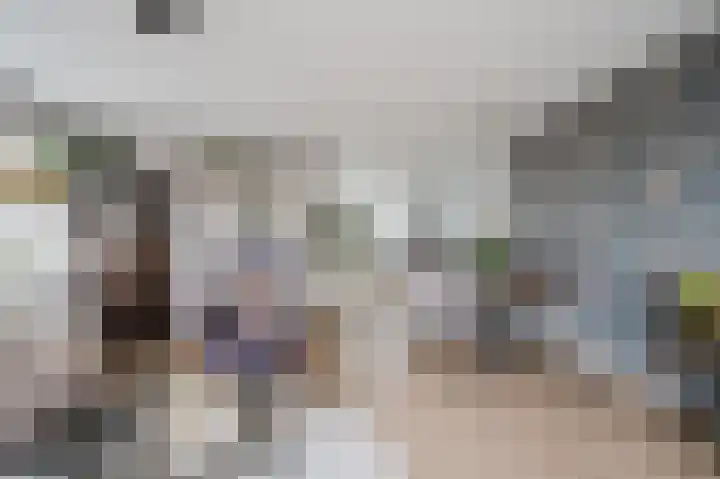 Else van der Banstraat 127 Spijkenisse thumbnail 19