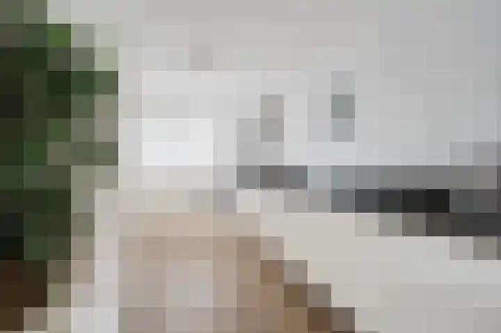 Else van der Banstraat 127 Spijkenisse thumbnail 20