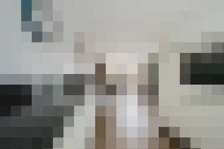 Else van der Banstraat 127 Spijkenisse thumbnail 21