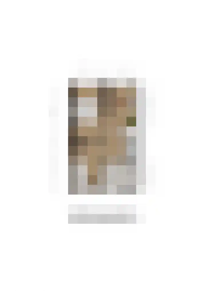 Else van der Banstraat 127 Spijkenisse thumbnail 22