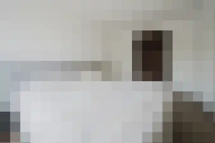 Else van der Banstraat 127 Spijkenisse thumbnail 24