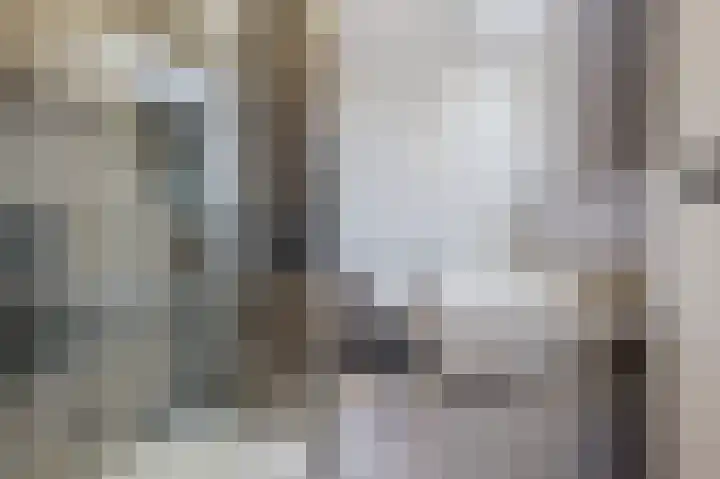Else van der Banstraat 127 Spijkenisse thumbnail 25