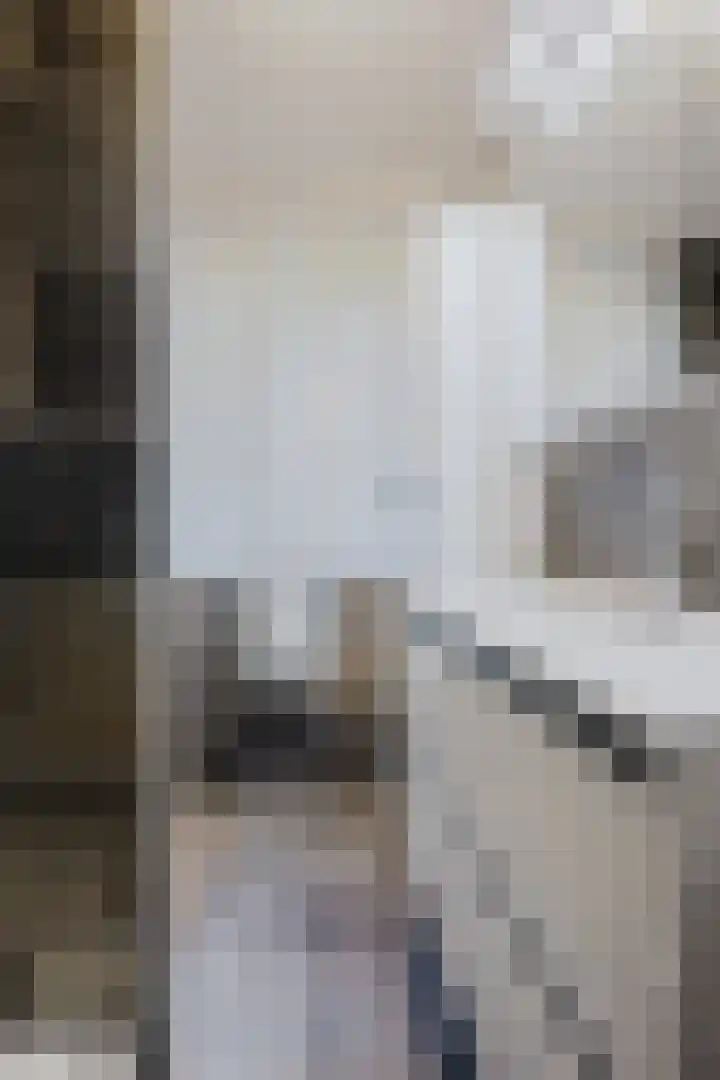 Else van der Banstraat 127 Spijkenisse thumbnail 26