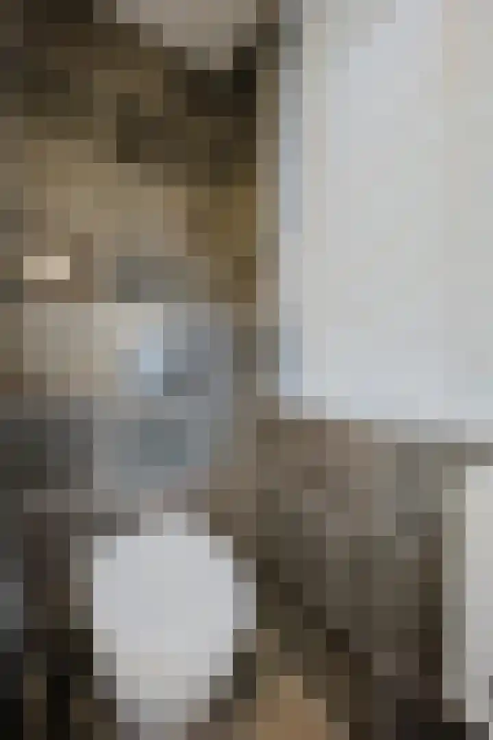 Else van der Banstraat 127 Spijkenisse thumbnail 27