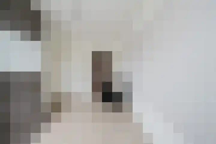 Else van der Banstraat 127 Spijkenisse thumbnail 29