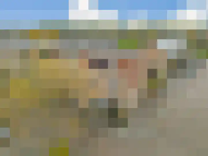 Else van der Banstraat 127 Spijkenisse thumbnail 8