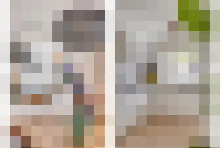 Else van der Banstraat 173 Spijkenisse thumbnail 12