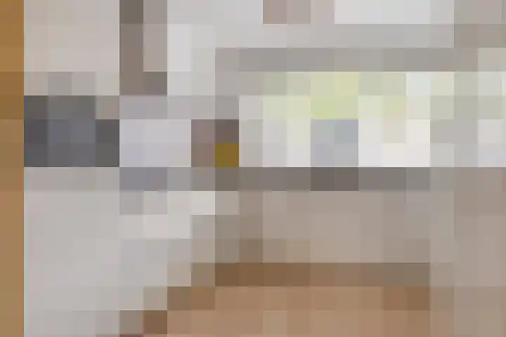 Else van der Banstraat 173 Spijkenisse thumbnail 15