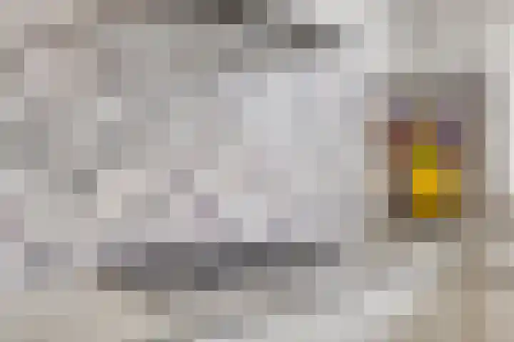 Else van der Banstraat 173 Spijkenisse thumbnail 17