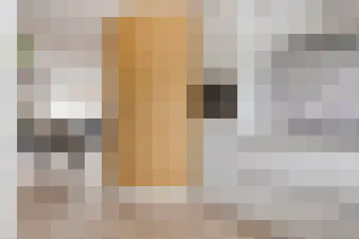 Else van der Banstraat 173 Spijkenisse thumbnail 18