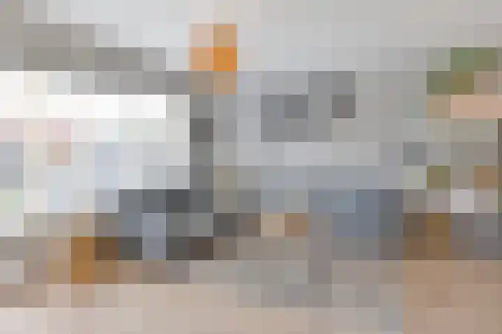 Else van der Banstraat 173 Spijkenisse thumbnail 19