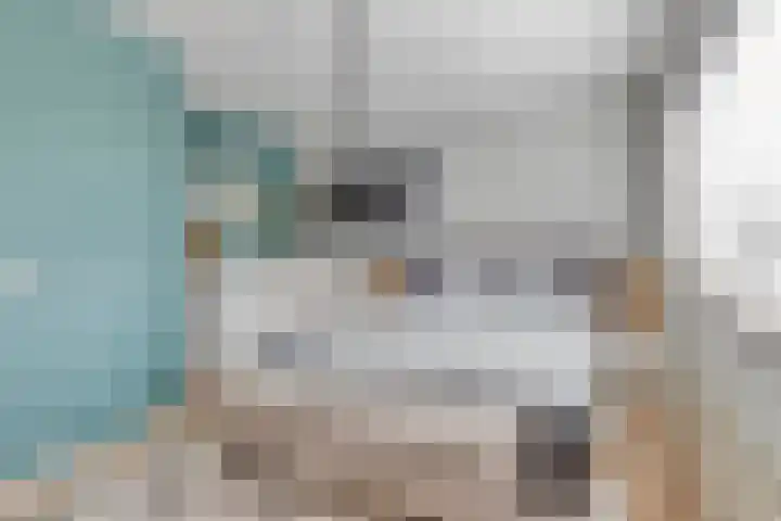 Else van der Banstraat 173 Spijkenisse thumbnail 22
