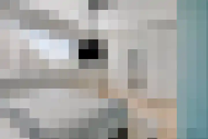Else van der Banstraat 173 Spijkenisse thumbnail 23