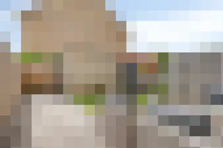 Else van der Banstraat 173 Spijkenisse thumbnail 33