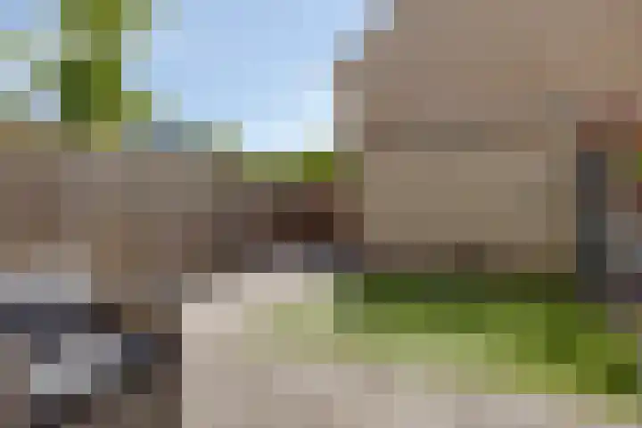Else van der Banstraat 173 Spijkenisse thumbnail 34