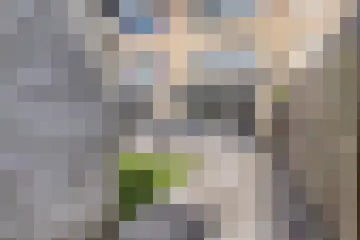 Else van der Banstraat 173 Spijkenisse thumbnail 35
