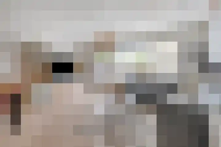 Else van der Banstraat 173 Spijkenisse thumbnail 7
