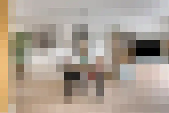 Else van der Banstraat 173 Spijkenisse thumbnail 8