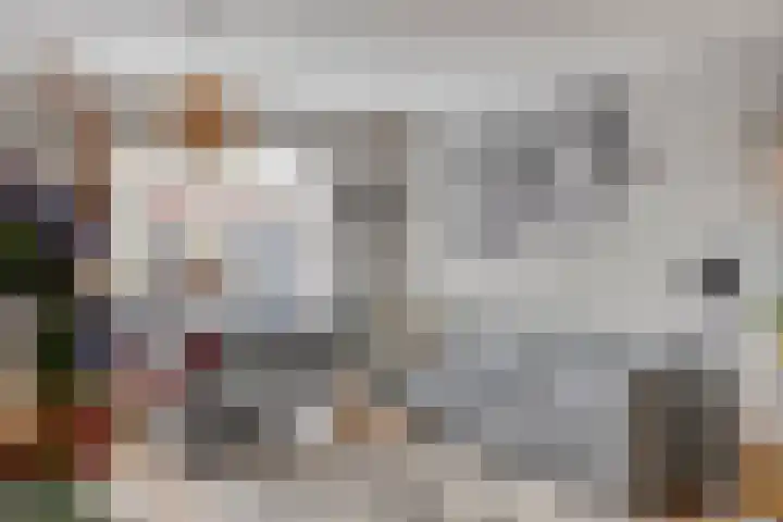 Else van der Banstraat 173 Spijkenisse thumbnail 9