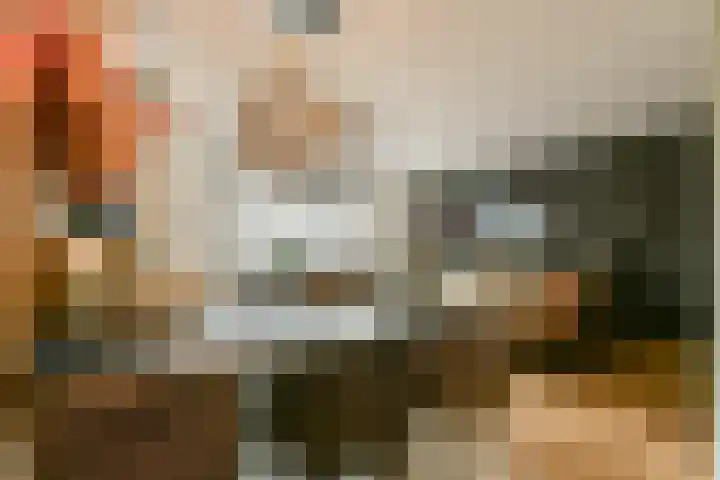 Else van der Banstraat 25 Spijkenisse thumbnail 12