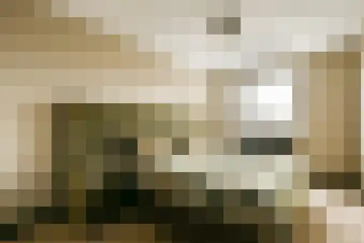 Else van der Banstraat 25 Spijkenisse thumbnail 15