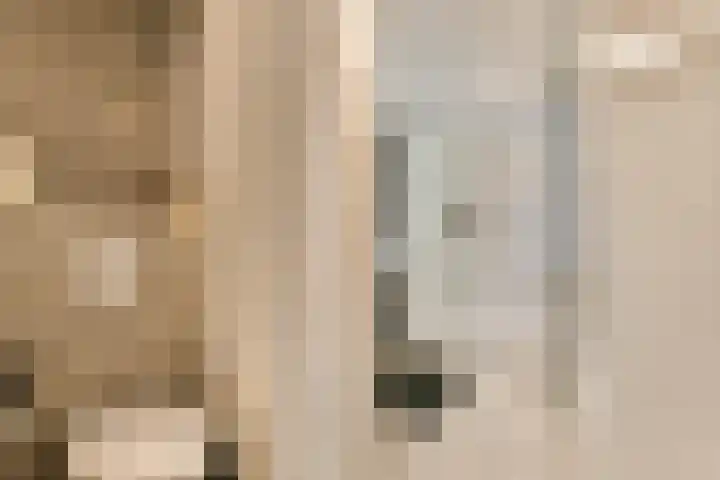 Else van der Banstraat 25 Spijkenisse thumbnail 16