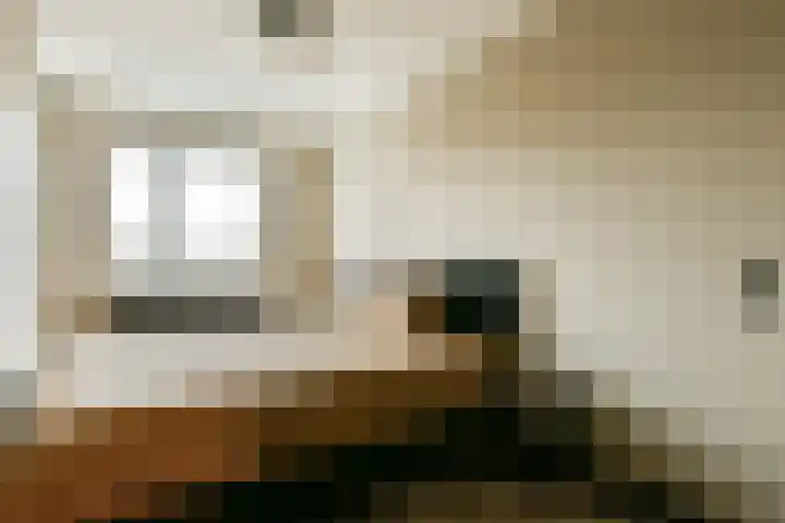 Else van der Banstraat 25 Spijkenisse thumbnail 17