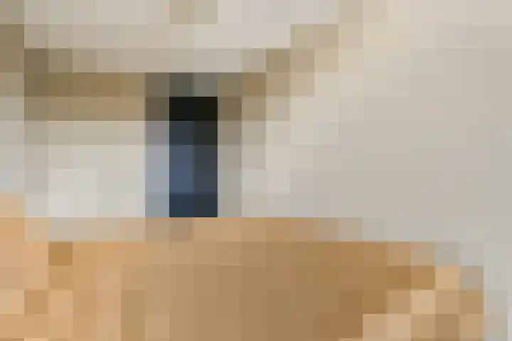 Else van der Banstraat 25 Spijkenisse thumbnail 18
