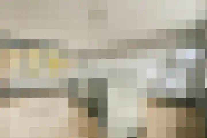 Else van der Banstraat 25 Spijkenisse thumbnail 21