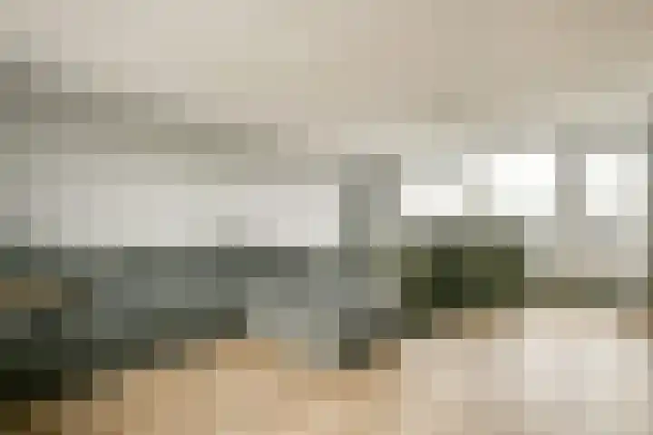 Else van der Banstraat 25 Spijkenisse thumbnail 22