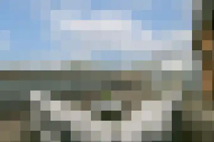 Else van der Banstraat 25 Spijkenisse thumbnail 23