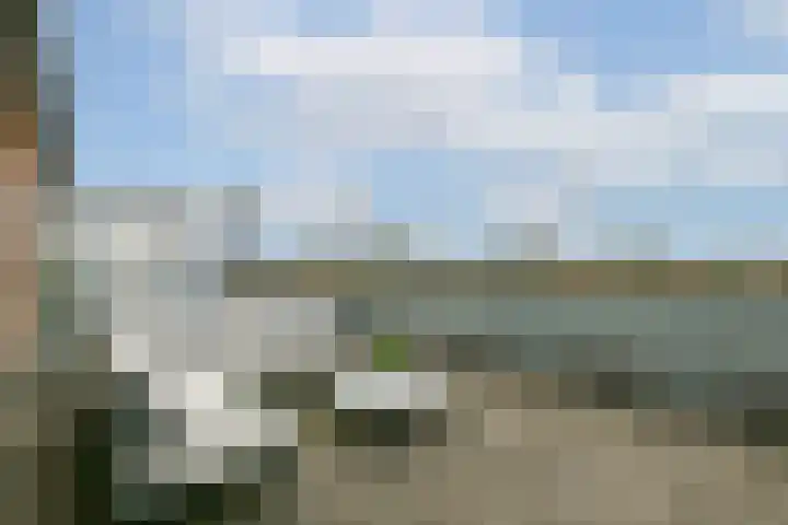 Else van der Banstraat 25 Spijkenisse thumbnail 24