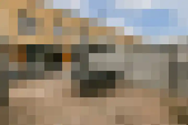Else van der Banstraat 25 Spijkenisse thumbnail 25
