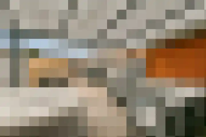 Else van der Banstraat 25 Spijkenisse thumbnail 5