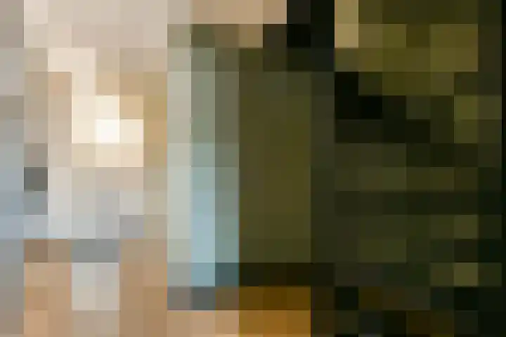 Else van der Banstraat 25 Spijkenisse thumbnail 6