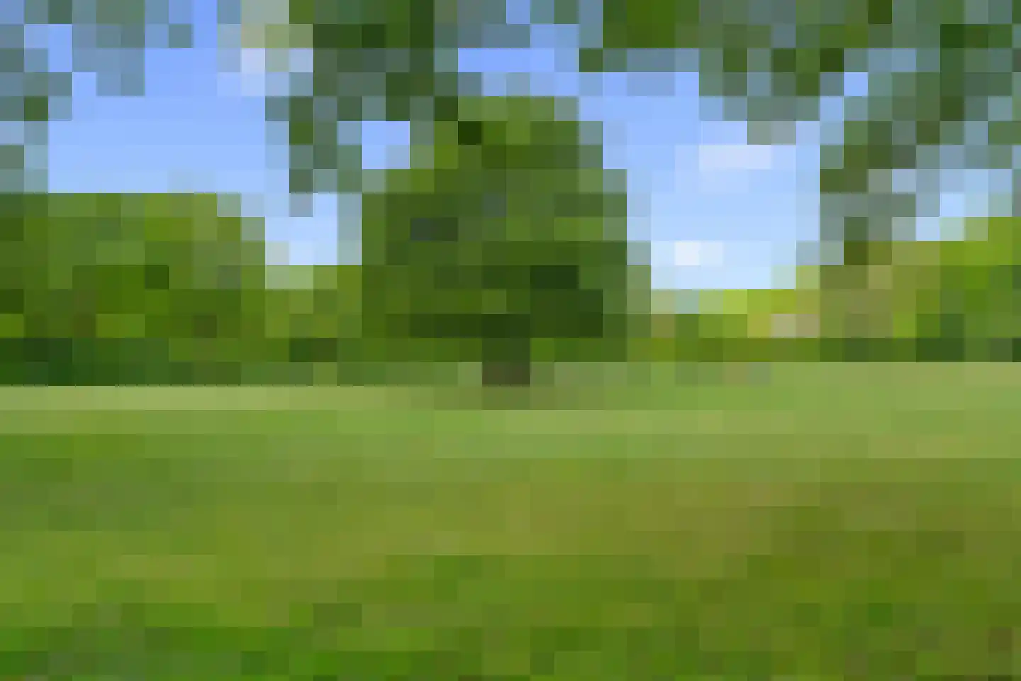 Elsenburg 11 Amersfoort thumbnail 46