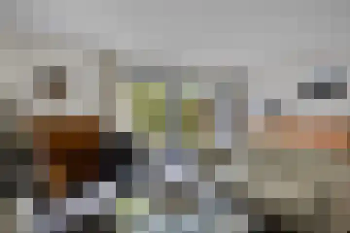 Elsenburg 23 Amersfoort thumbnail 11