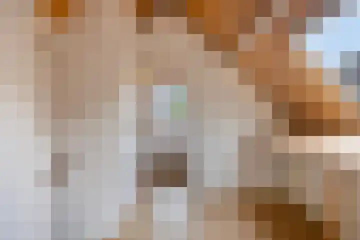 Elsenburg 23 Amersfoort thumbnail 24