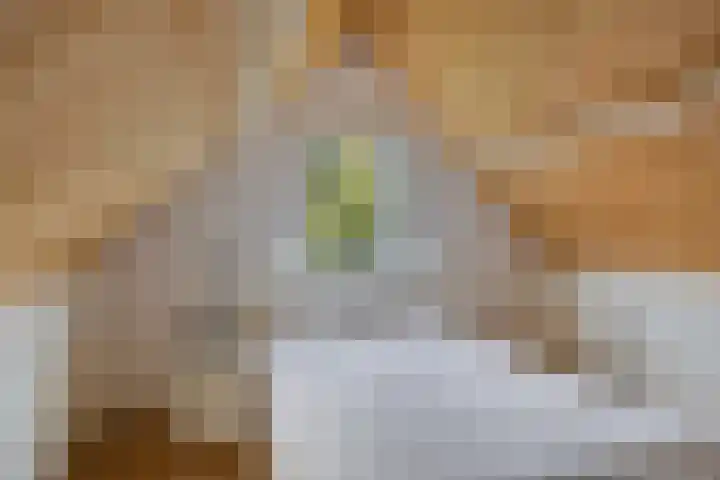 Elsenburg 23 Amersfoort thumbnail 25
