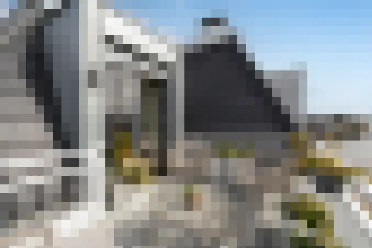 Elsenburglaan 19 Weesp thumbnail 12