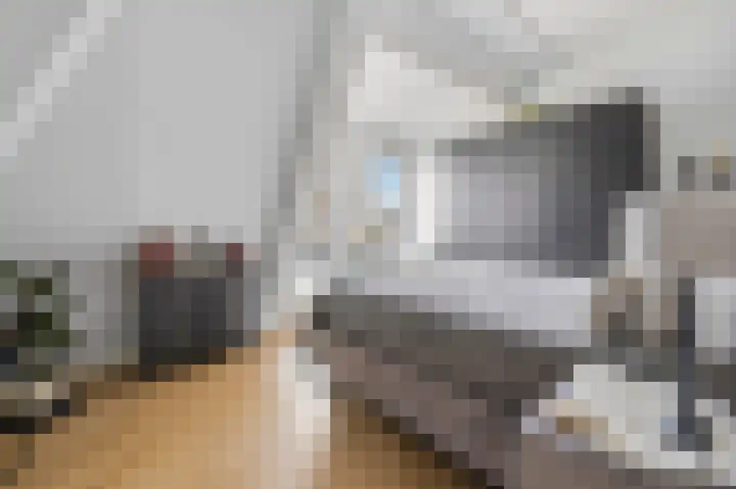 Elsenburglaan 19 Weesp thumbnail 21