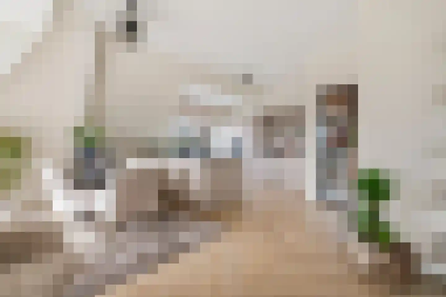 Elsenburglaan 19 Weesp thumbnail 7