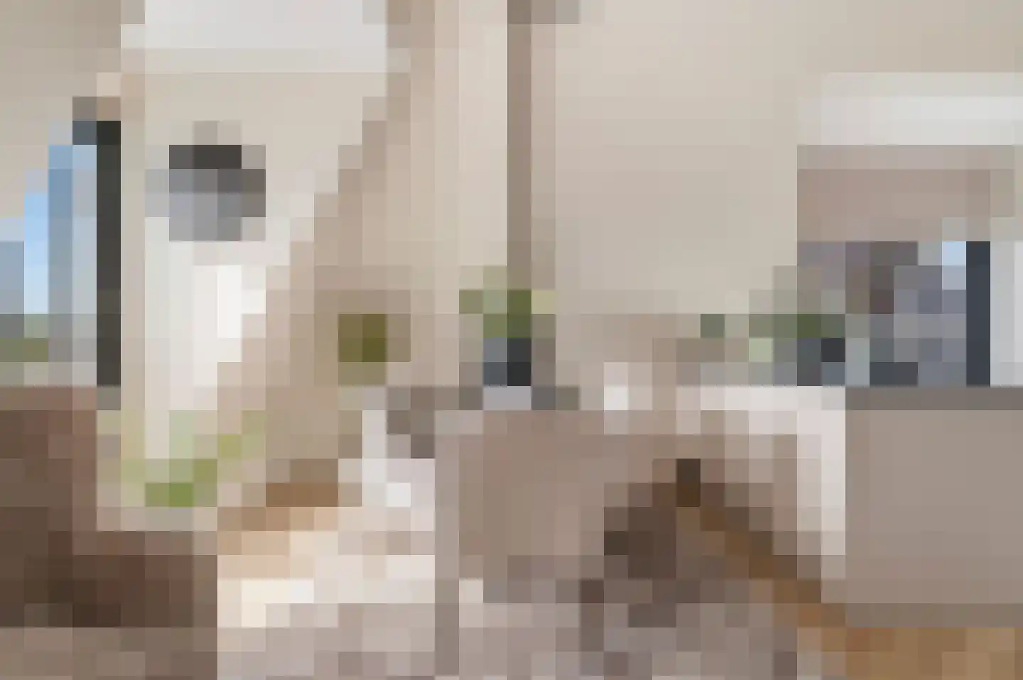 Elsenburglaan 19 Weesp thumbnail 8