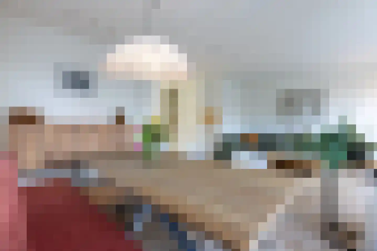 Elsenburglaan 2 Weesp thumbnail 15