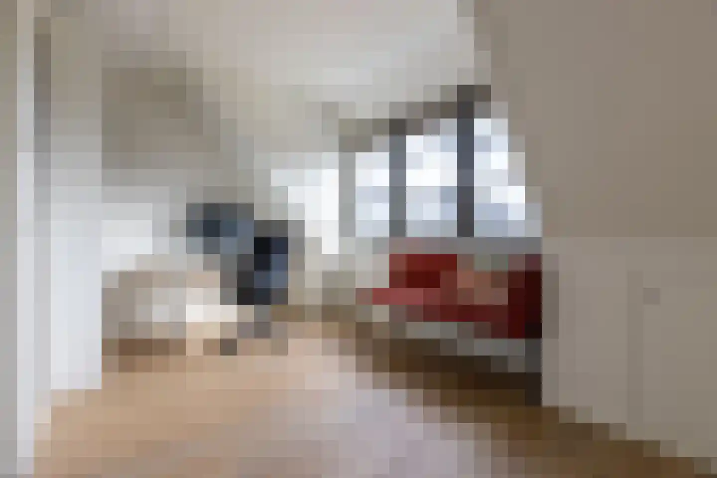 Elsenburglaan 2 Weesp thumbnail 32