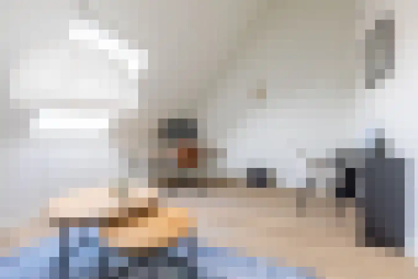 Elsenburglaan 2 Weesp thumbnail 36