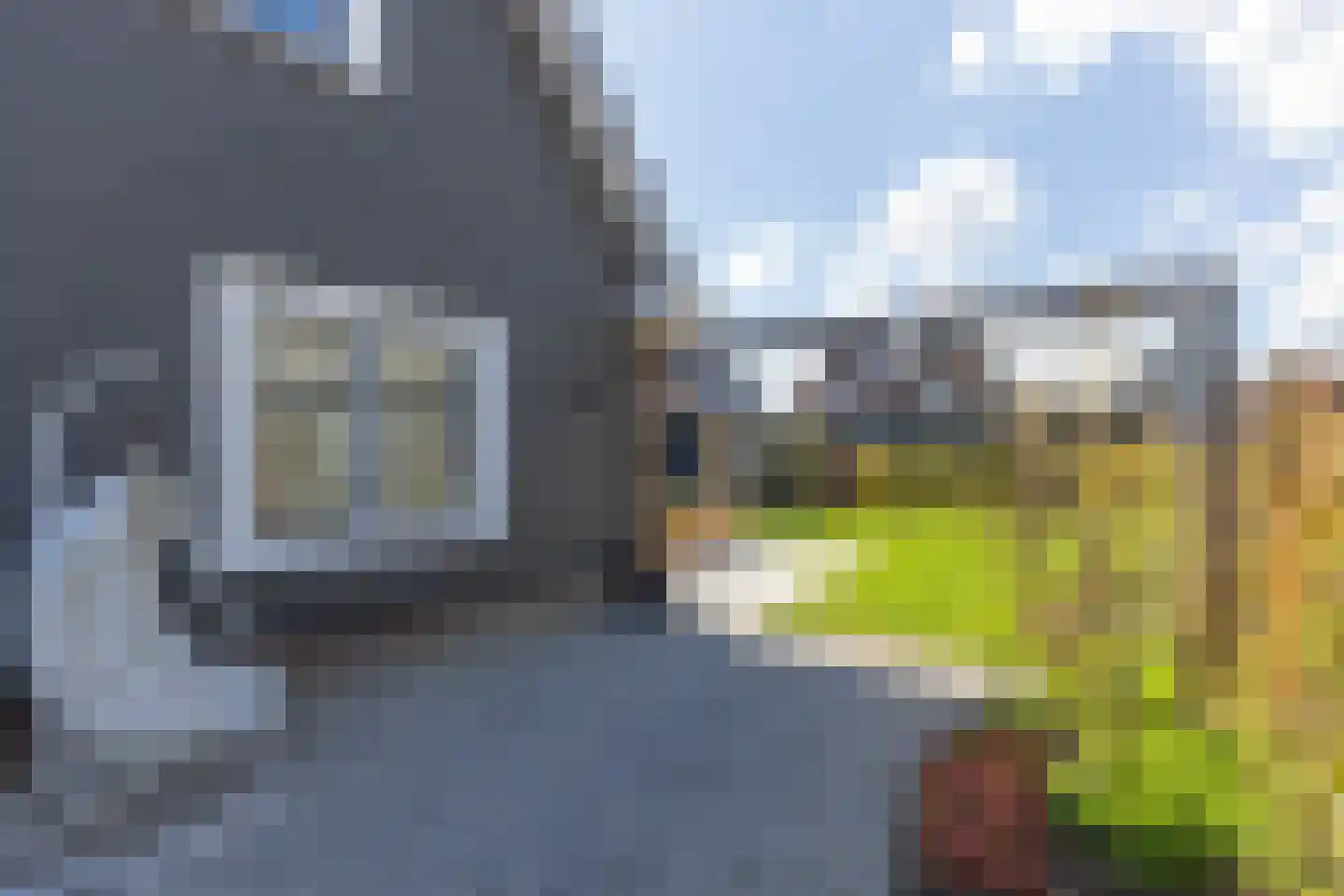 Elsenburglaan 2 Weesp thumbnail 37