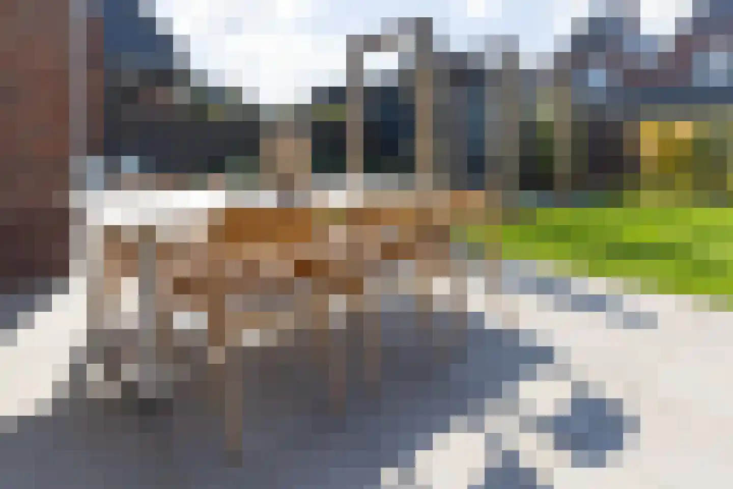 Elsenburglaan 2 Weesp thumbnail 39