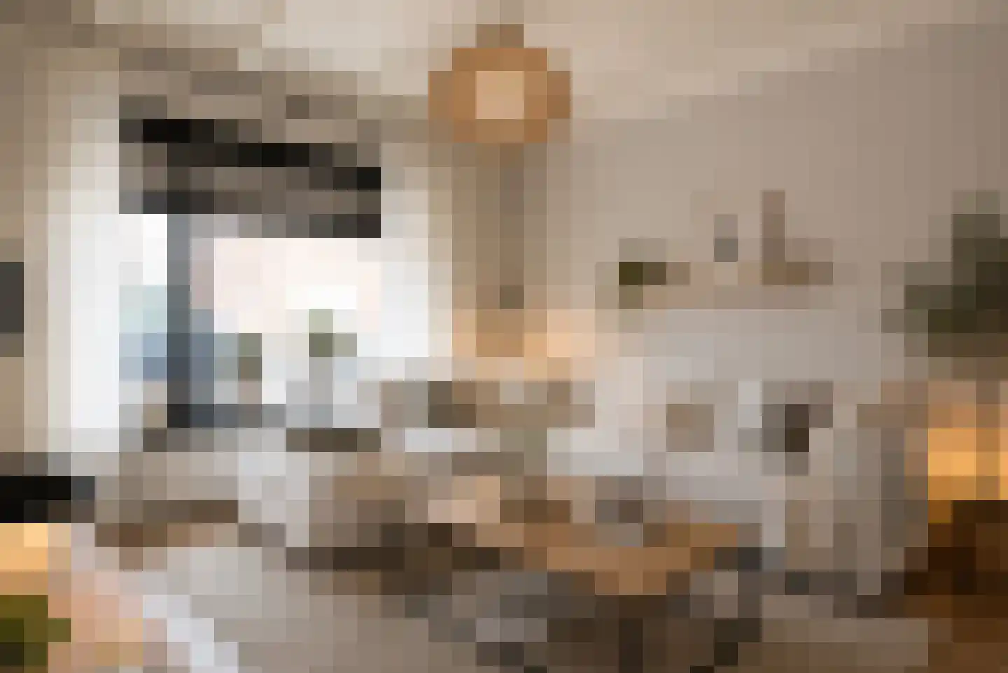 Elsenerstraat 56 Rijssen thumbnail 11