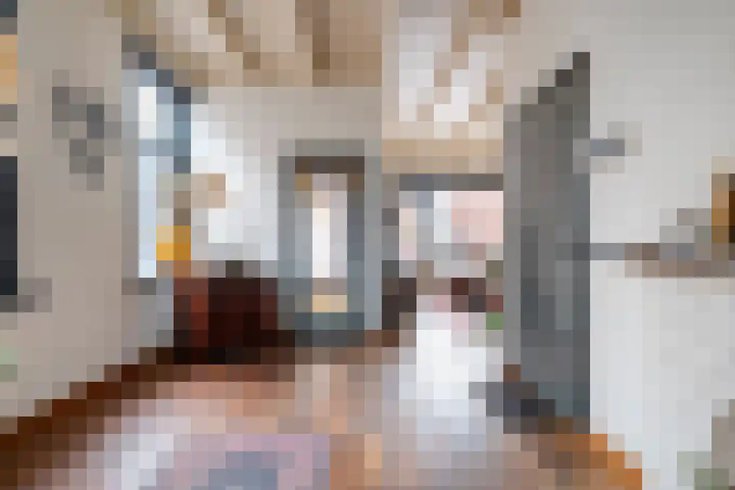 Elsenerstraat 56 Rijssen thumbnail 13